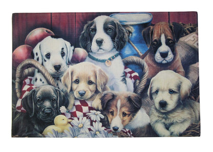 Schmutzfangmatte Eingangsmatte Fußmatte Schmutzmatte Matte Katzen Hunde Pferde